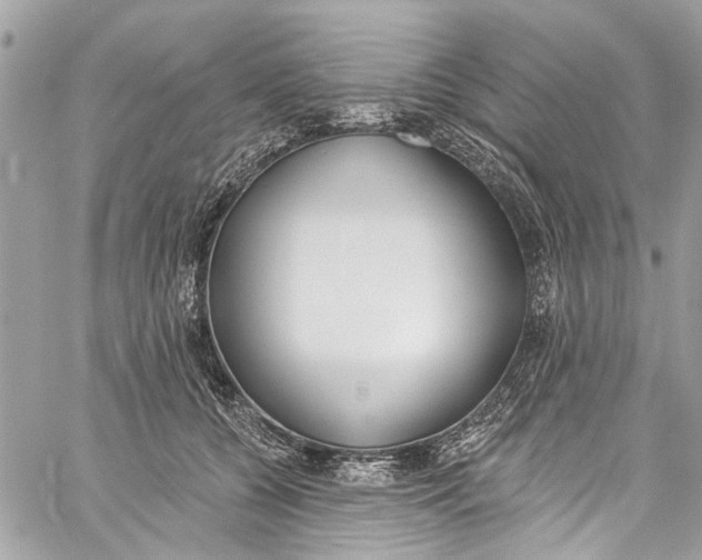 X0000060270560200511181422