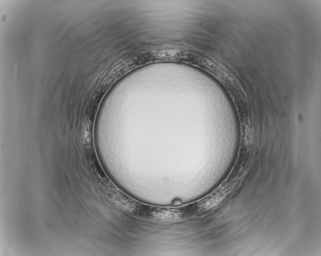 X0000060270561200511181422