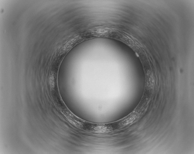 X0000060270562200511181422