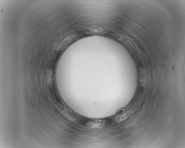 X0000060270563200511181422