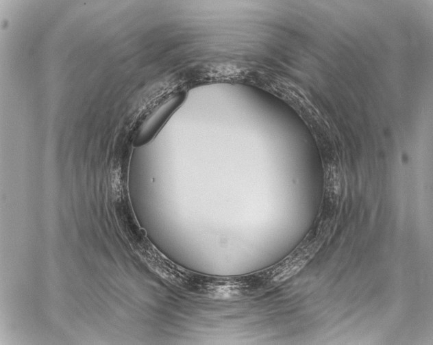 X0000060270564200511181422