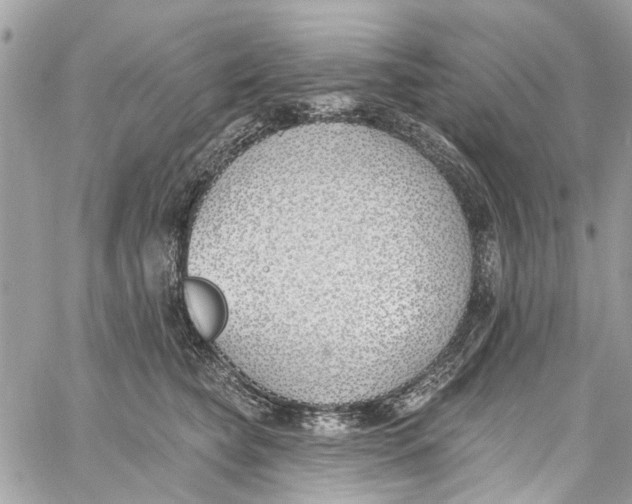 X0000060270565200511181422