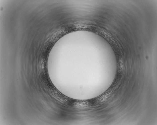 X0000060270567200511181422