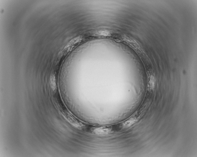 X0000060270568200511181422