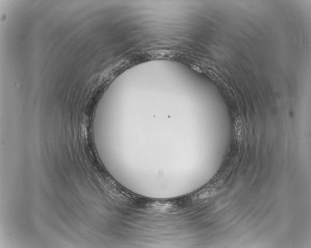 X0000060270570200511181422