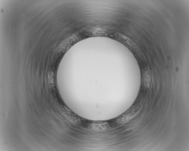 X0000060270571200511181422