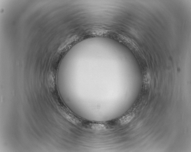 X0000060270572200511181422