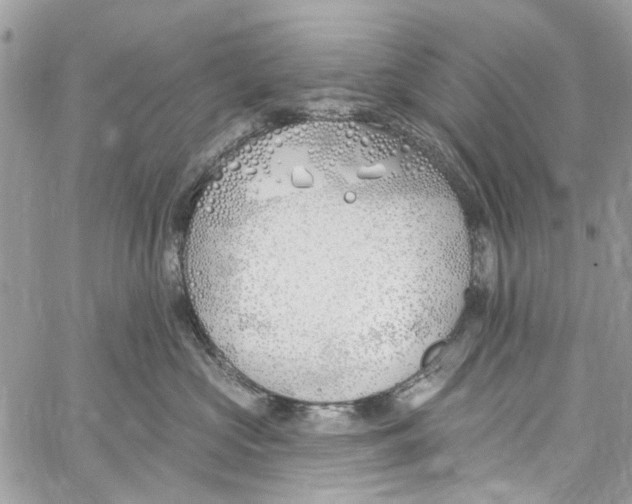 X0000060270573200511181422