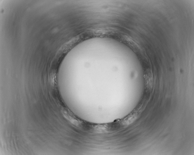 X0000060270574200511181422