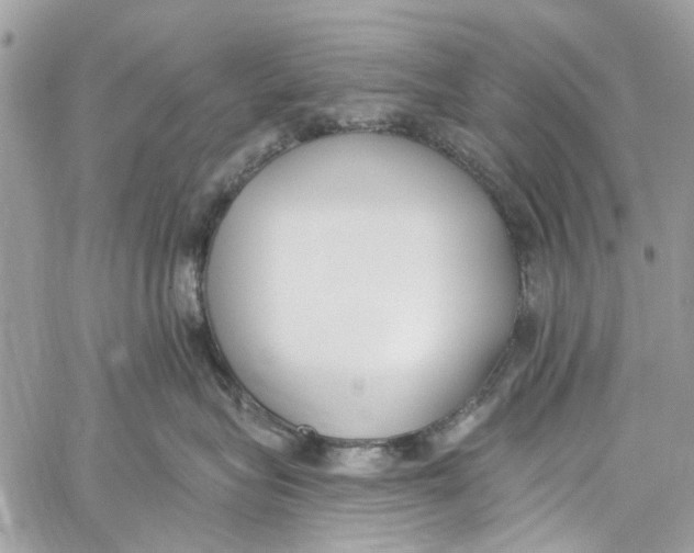 X0000060270575200511181422