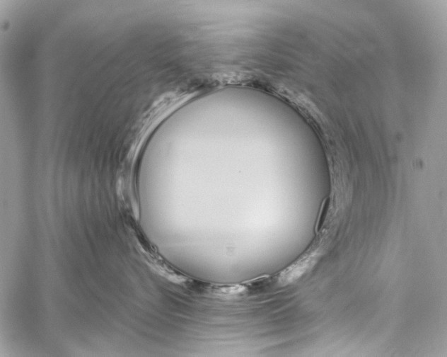 X0000060270576200511181422