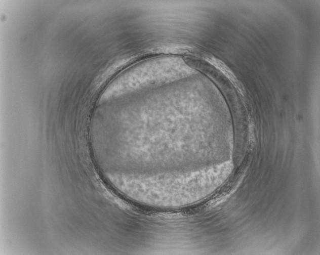 X0000060270577200511181422