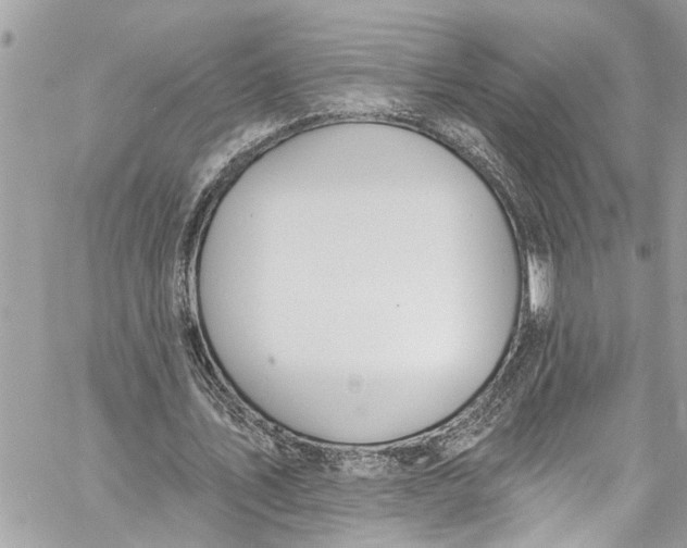 X0000060270579200511181422