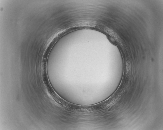 X0000060270580200511181422