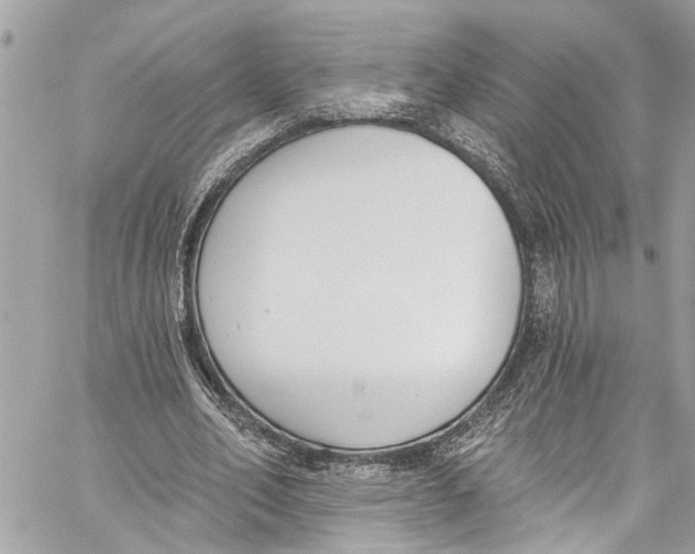 X0000060270582200511181422