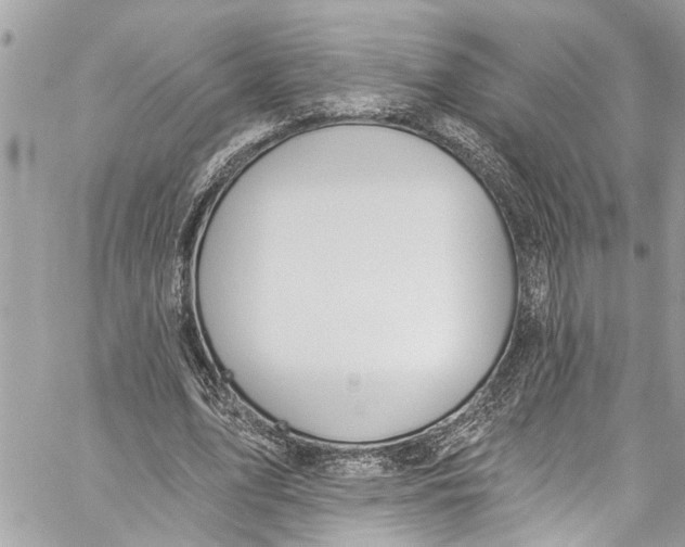 X0000060270583200511181422