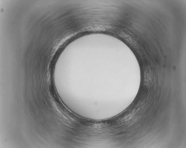 X0000060270584200511181422