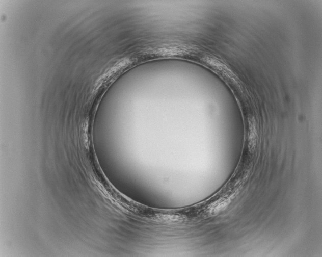 X0000060270585200511181421