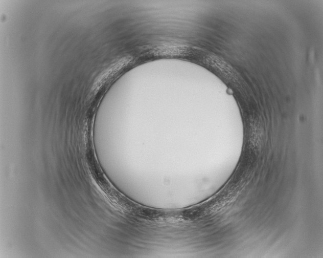 X0000060270586200511181421