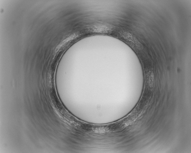 X0000060270587200511181421