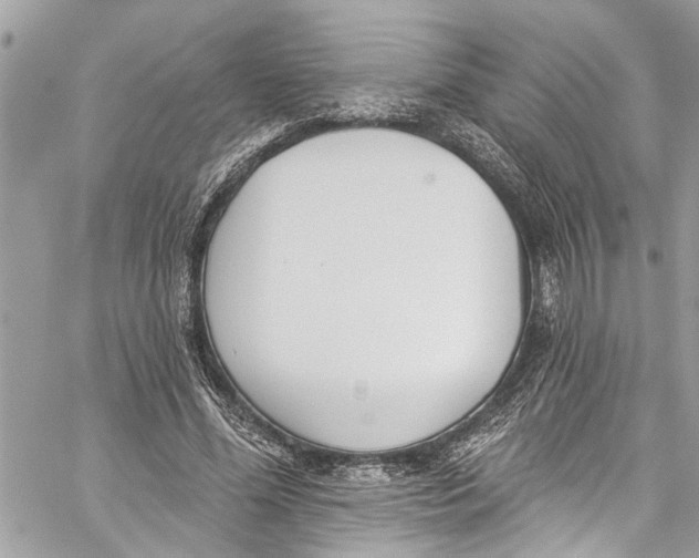 X0000060270588200511181421