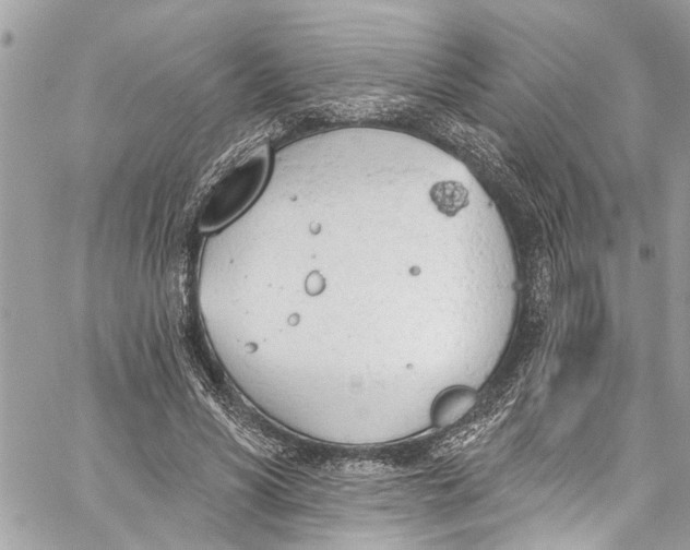 X0000060270590200511181421