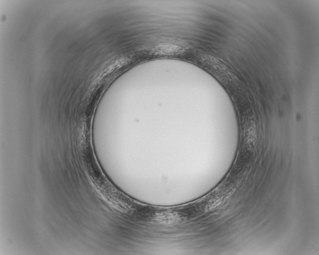 X0000060270591200511181421