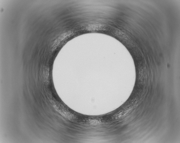 X0000060270592200511181421