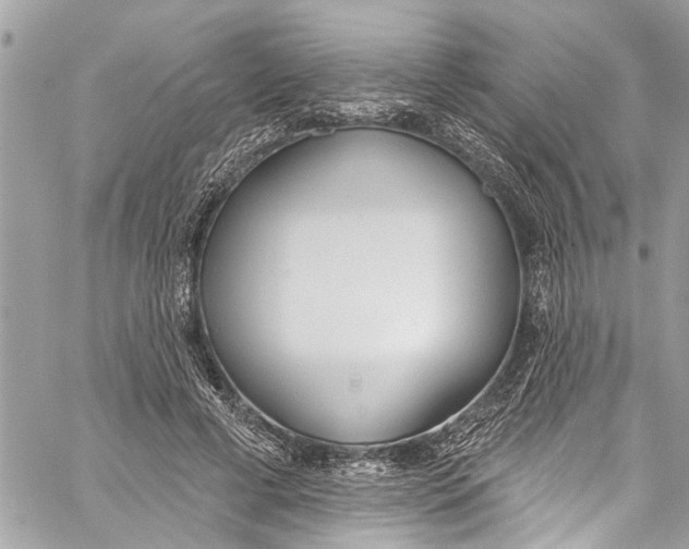 X0000060270593200511181421