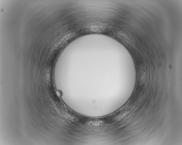 X0000060270595200511181421