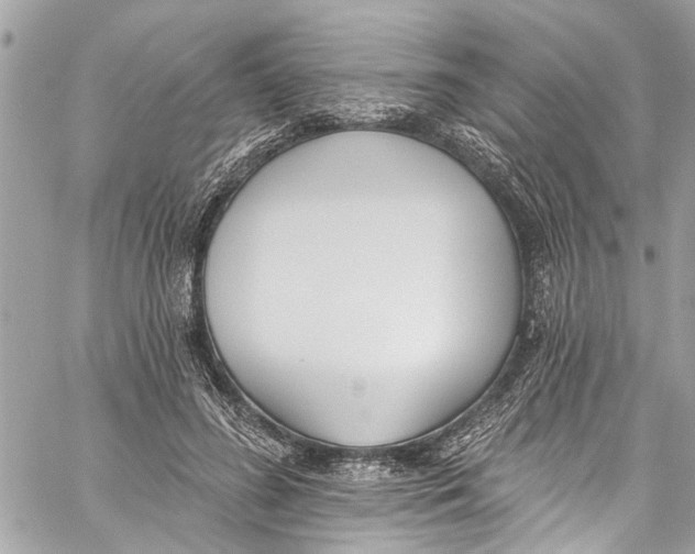 X0000060270596200511181421