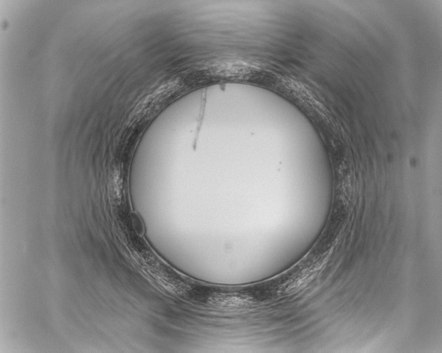 X0000060270597200511181421