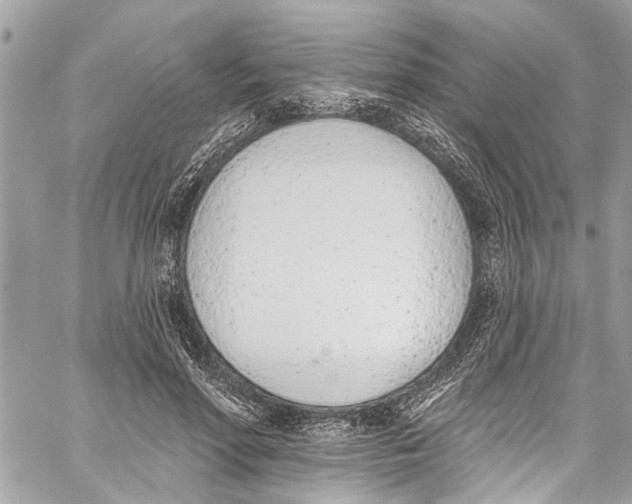 X0000060270598200511181421