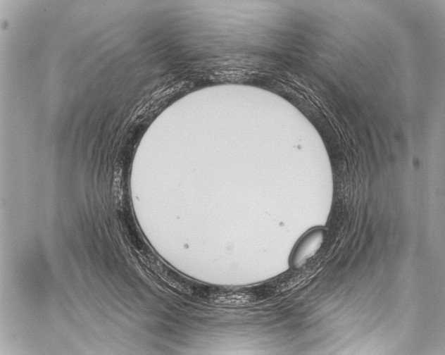 X0000060270599200511181421