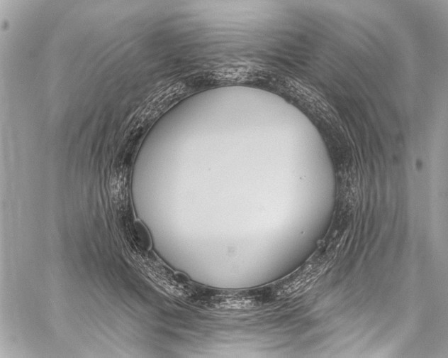 X0000060270601200511181421