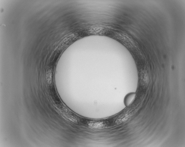 X0000060270602200511181421