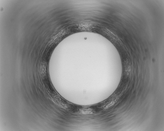 X0000060270603200511181421