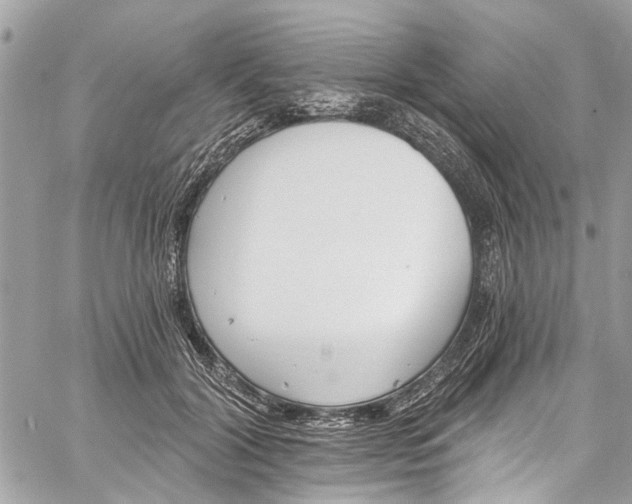 X0000060270604200511181421