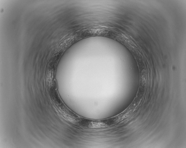 X0000060270605200511181421