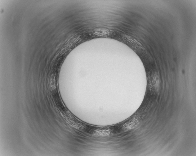 X0000060270606200511181421