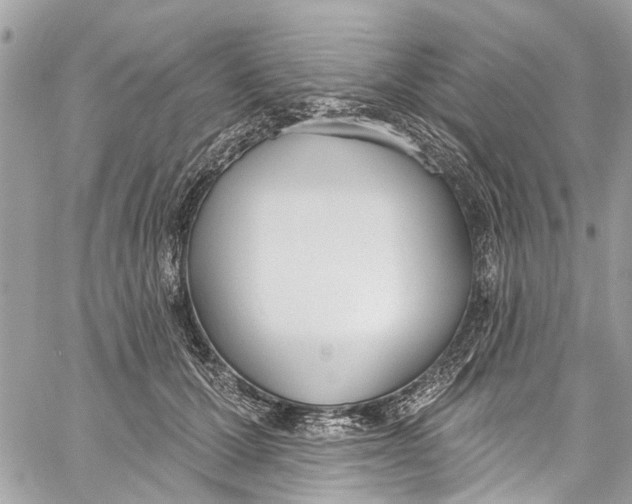 X0000060270607200511181421