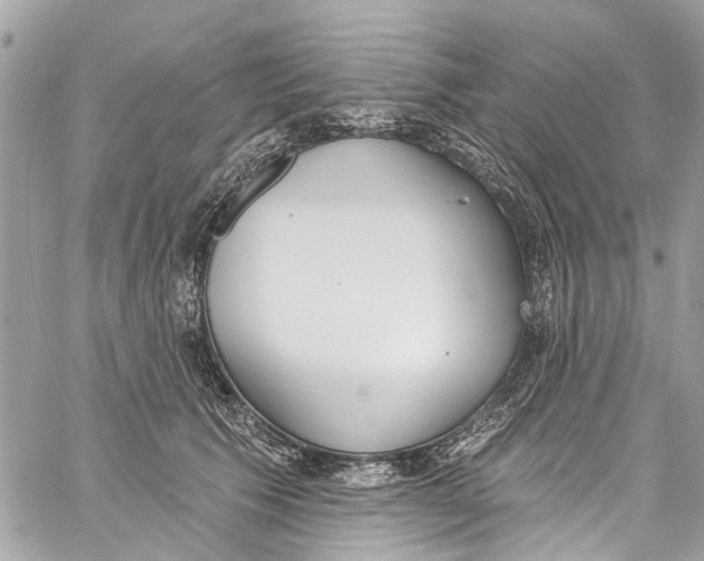 X0000060270609200511181421