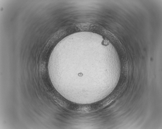 X0000060270610200511181421