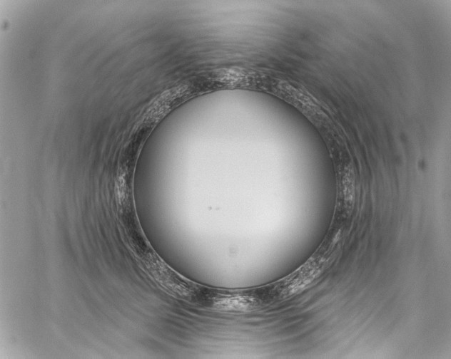 X0000060270611200511181421