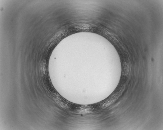 X0000060270612200511181421