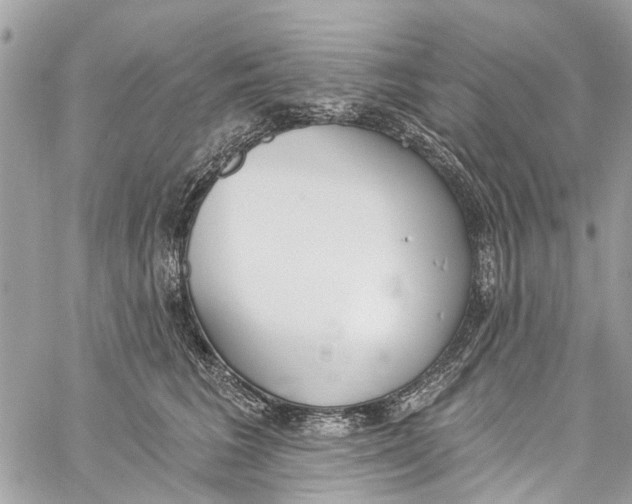 X0000060270613200511181421