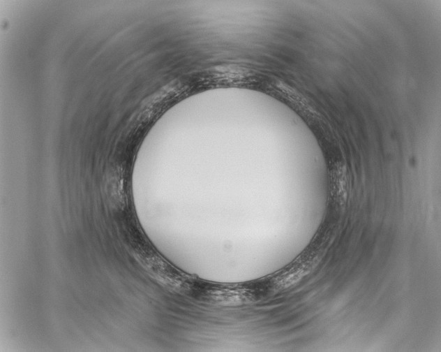 X0000060270615200511181421