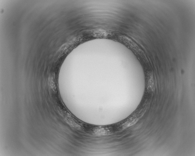 X0000060270616200511181421