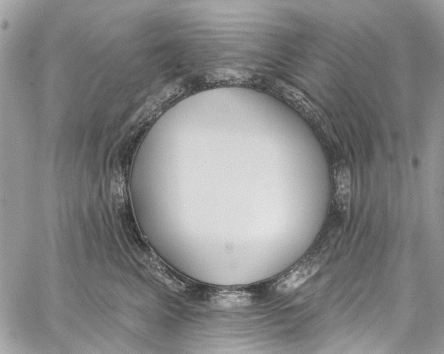 X0000060270617200511181421