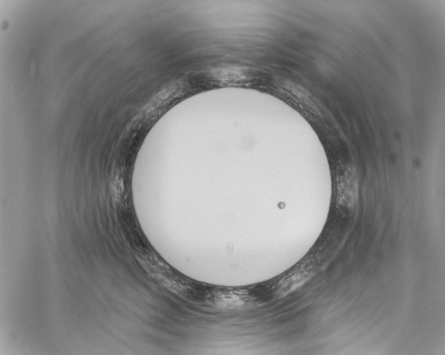 X0000060270618200511181421